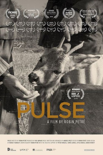 Movie poster for Pulse (2016)