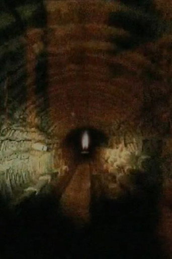Movie poster for Mémoire carbone (2005)