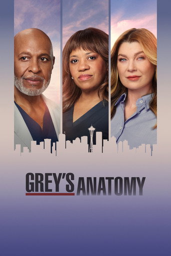 Series poster for Grey's Anatomy (2005)