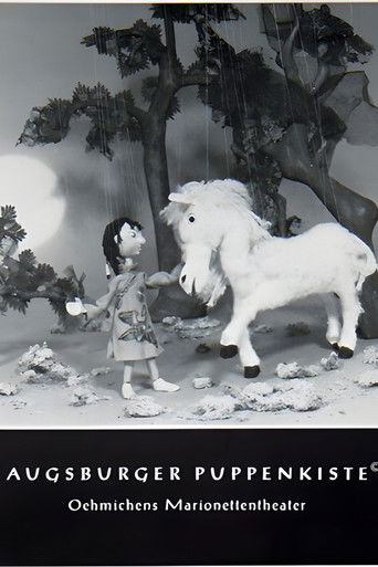 So Hi und das weiße Pferd poster