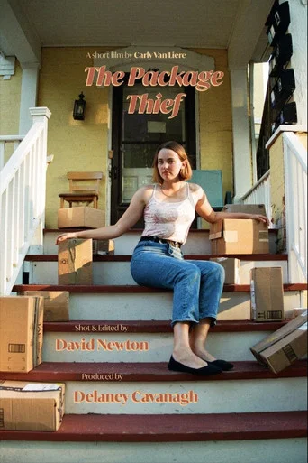 Movie poster for The Package Thief