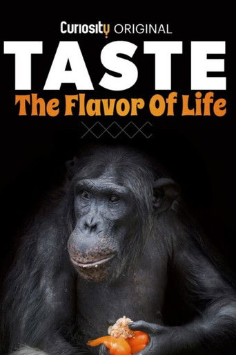 Taste: The Flavor of Life poster
