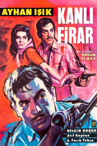 Movie poster for Kanlı Firar (1960)