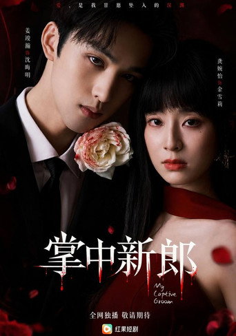 Series poster for 掌中新郎 (2026)