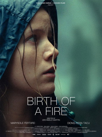 Birth of a Fire poster