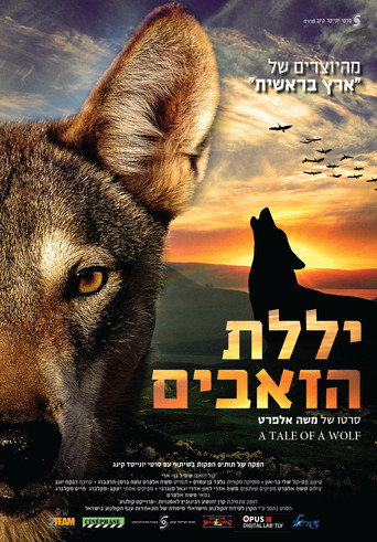 Movie poster for A Tale of a Wolf (2013)