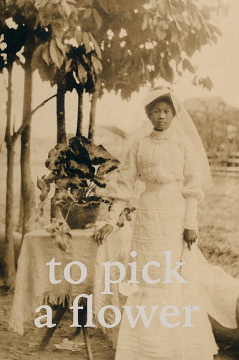 Movie poster for To Pick a Flower (2021)