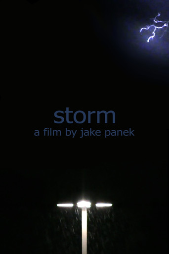 Movie poster for storm (2024)