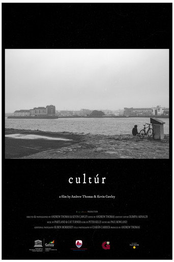 Movie poster for culture (2019)