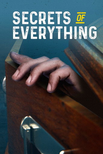 The Secrets of Everything poster
