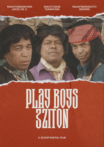 Movie poster for Play Boys 3 (2010)