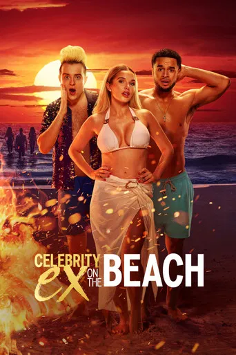 Celebrity Ex on the Beach poster