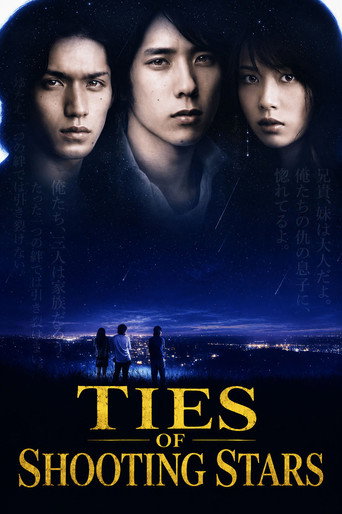 Series poster for Ties of Shooting Stars (2008)