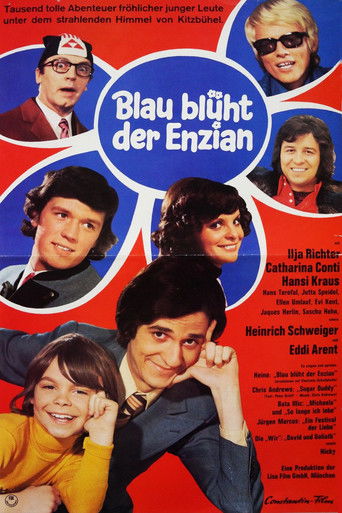 Blau blüht der Enzian poster