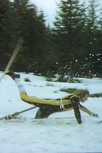 Movie poster for Nordic Combination (1978)