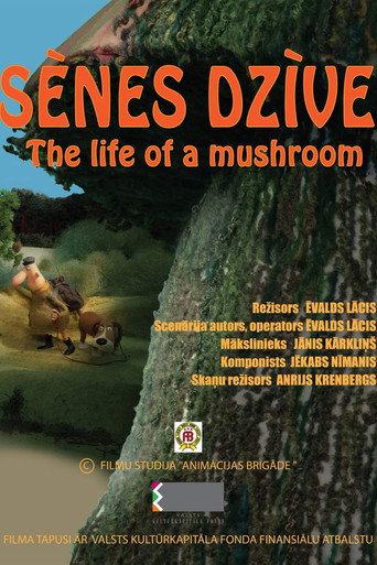 Movie poster for The Life of a Mushroom (2024)