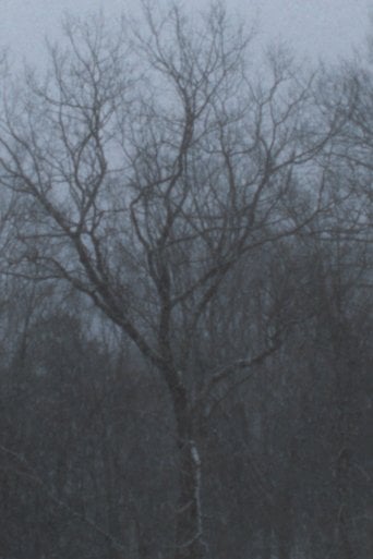 Movie poster for Snowfall (2022)