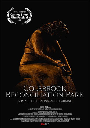 Movie poster for Colebrook: A Place of Healing & Learning (2022)
