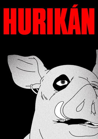 Hurikán poster