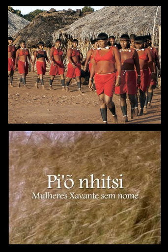 Movie poster for Pi'õnhitsi - Mulheres Xavante sem Nome (2009)