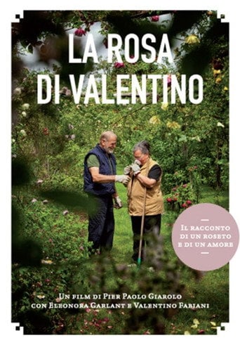 Movie poster for La rosa di Valentino