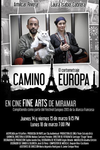 Movie poster for Camino a Europa (2013)