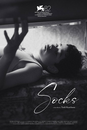 Movie poster for Socks (2025)