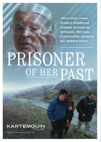 Movie poster for Prisoner of Her Past (2010)