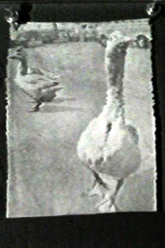 Movie poster for The Meaning of Various News Photos to Ed Henderson (1973)