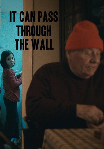 Movie poster for It Can Pass Through the Wall (2014)