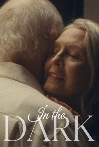Movie poster for In The Dark