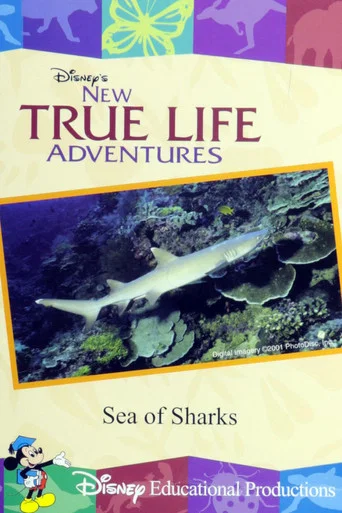 Movie poster for Sea of Sharks (2000)