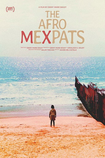 Movie poster for The Afro Mexpats (2024)
