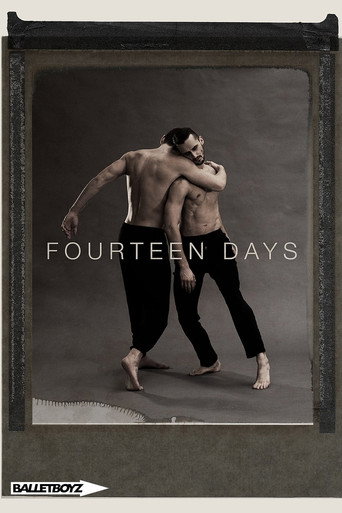 Movie poster for Fourteen Days (2017)