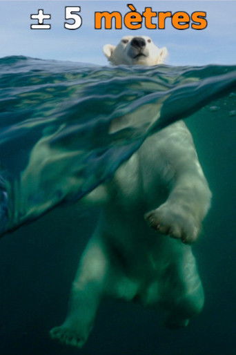 ± 5 Meters From the Surface of the Oceans poster