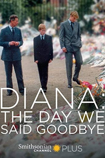 Movie poster for Diana: The Day We Said Goodbye (2017)