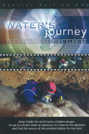 Movie poster for Water's Journey: The Hidden Rivers of Florida