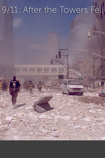 Movie poster for 9/11: After The Towers Fell (2010)