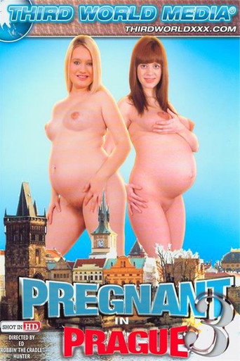 Movie poster for Pregnant In Prague 3 (2014)