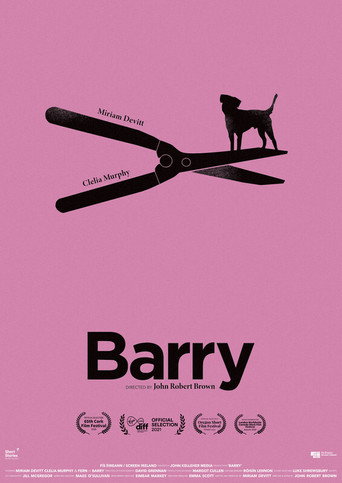 Movie poster for Barry (2021)