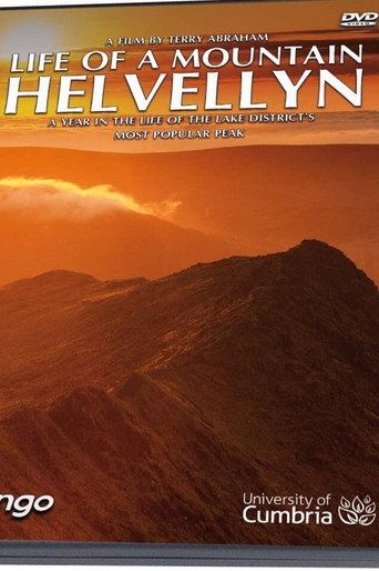 Movie poster for A Year on Helvellyn (2021)