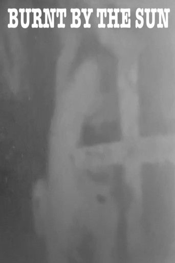 Burnt by the Sun poster