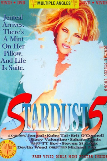 Movie poster for Stardust 5 (1995)