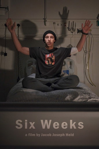 Movie poster for Six Weeks (2025)