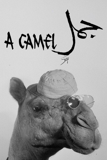 Movie poster for A Camel (1981)