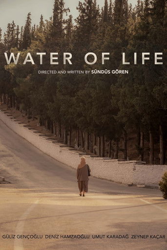Water of Life poster