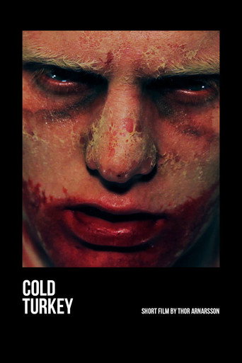 Movie poster for Cold Turkey (2013)