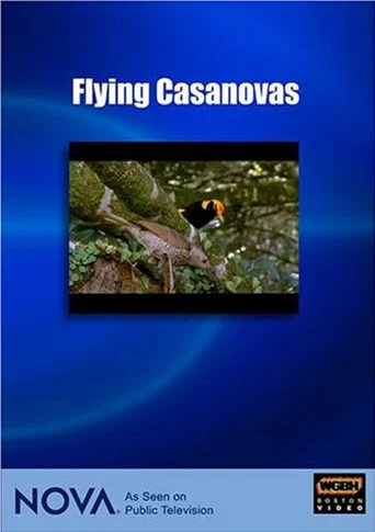 Series poster for Flying Casanovas