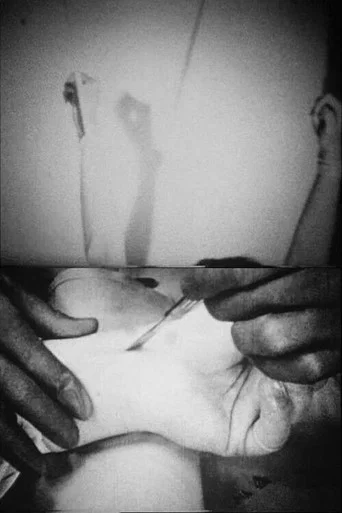 Movie poster for Blicklust (1992)