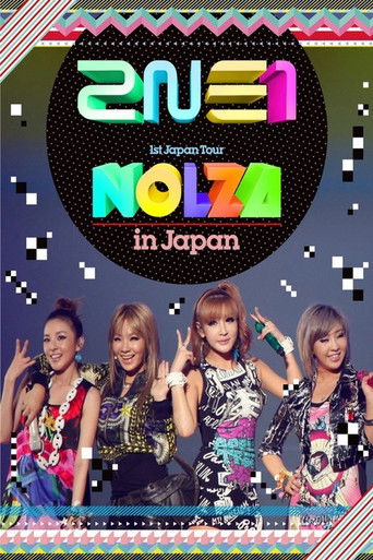 2NE1 1st Japan Tour "NOLZA in Japan" poster
